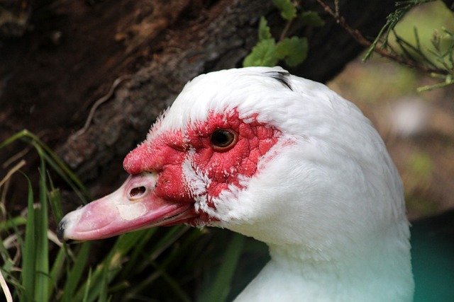 在场上更加 在场上更加