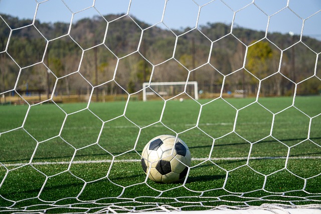 反而激发了 反而激发了