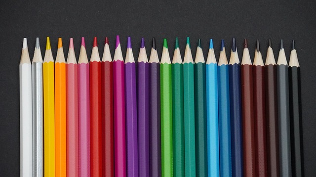 这些项目使 这些项目使