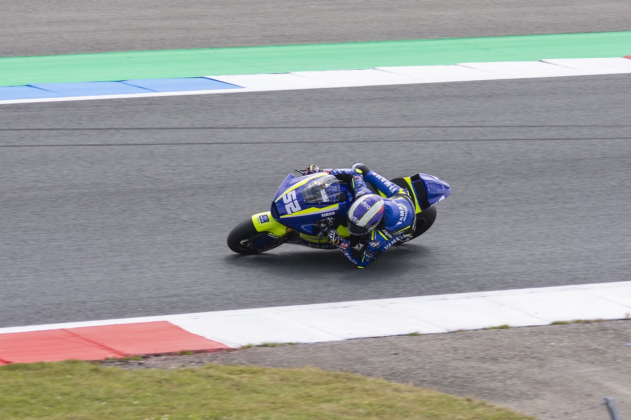 谁会成为最 谁会成为最